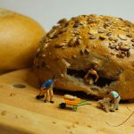 Travailler pour vivre ?