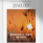 zenology magazine offert