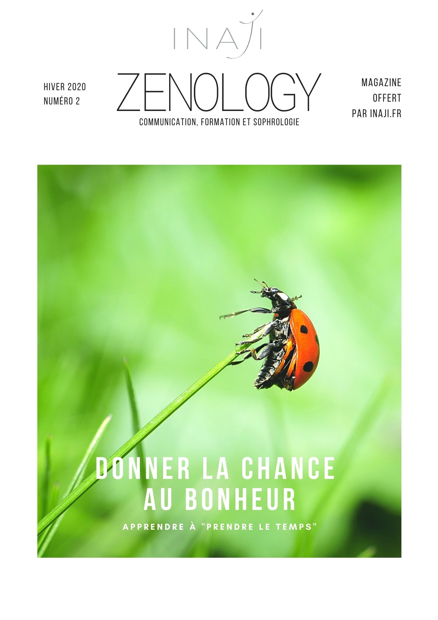 Mag Zenology N°2 couverture